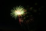 DSC01409.jpg