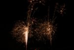 DSC01940.jpg