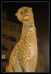DSC_2155.JPG