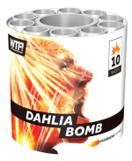 Cafferata - Dahlia Bomb.png