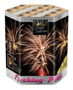 Broekhoff - Flashing Palms.png