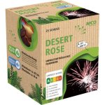 Desert Rose.jpg