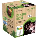 Desert Rose.jpg