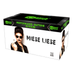 BlackBoxx - Miese Liese.png