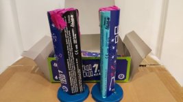 Cuckoo Standing Back.jpg