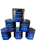 Salon Roger - Massive 19.png