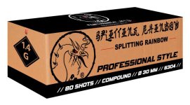 gbv_splitting_rainbow kopiëren.jpg