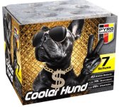 Snoop Doggie Dog.jpg