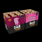 Brave Cyber WCKD.jpg