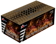 Broekhoff - Wellington Astroids.png