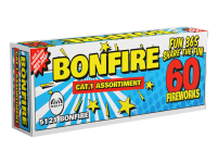 5121-Bonfire.png