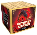 Untamed Dragon.JPG