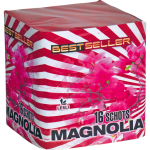 Lesli Vuurwerk - Magnolia.png Lesli Vuurwerk - Magnolia.png