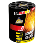 Evolution - Sommergluck.png