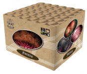 Broekhoff - Firenza.png