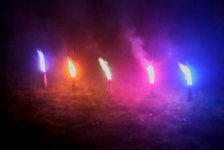 Bengaalse fakkels.jpg