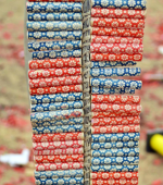 Thunderbomb_jaren80.png Thunderbomb_jaren80.png