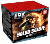 Salvo Salute.jpg Salvo Salute.jpg