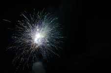 DSC_0736.JPG