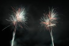 DSC_0450.JPG