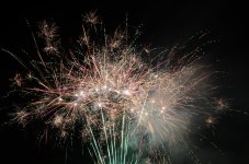 DSC_0595.JPG