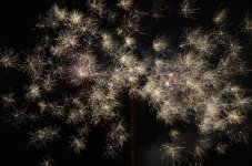 DSC_0784.JPG