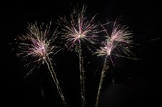 DSC_0785.JPG