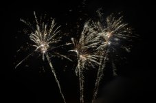 DSC_0786.JPG