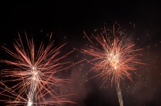 DSC_0503.JPG DSC_0503.JPG