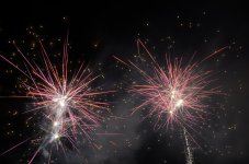 DSC_0504.JPG DSC_0504.JPG