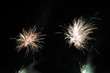 DSC_0602.JPG