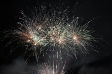 DSC_0549.JPG
