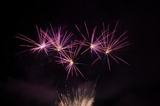 DSC_0555.JPG