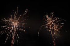 DSC_0445.JPG