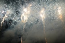DSC_0867.JPG