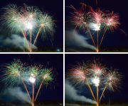 Bruin Vintage Fotocollage Facebook Post (4).png