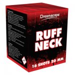 EVO DRS-2004_Ruffneck_Evolution_Fireworks.jpg