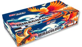Miraculous kopie.jpg