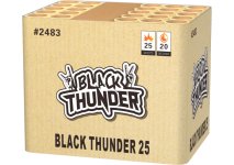 The Black Thunder Cake.jpg