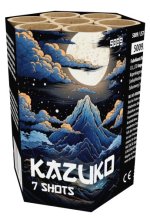 5009-Kazuko kopie.jpg