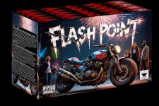 Flashpoint kopie.jpg