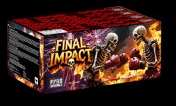 Final Impact kopie.jpg