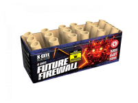 Future Firewall.png