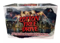 Cotton Tree Drive.jpg