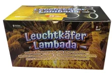 Leuchtkaefer Lambada.webp Leuchtkaefer Lambada.webp