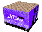 X205 Big Antaria.png