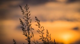 FPM-album-blog (2 van 2).jpg