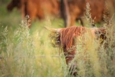 FPM-album-blog (1 van 2).jpg