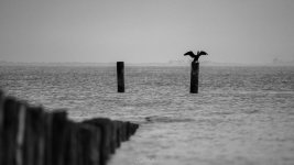 Zeeland-album-blog (1 van 3).jpg