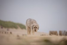 Zeeland-album-blog (2 van 3).jpg